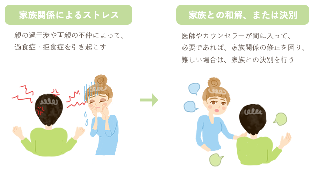 摂食障害の家族療法の流れ